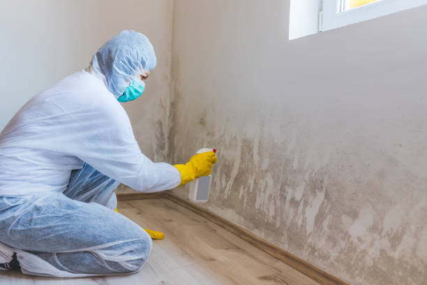 Mold Remediation specialist working in Gilbert